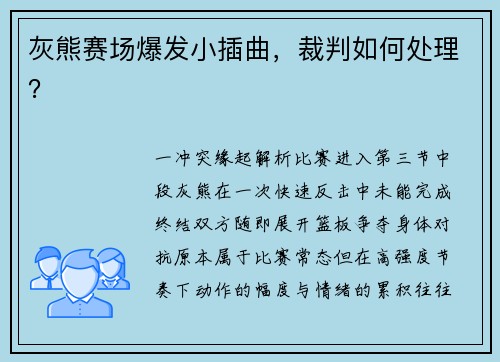 灰熊赛场爆发小插曲，裁判如何处理？